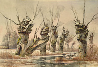 AA 039
<br/>
Knotwilgen in de winter
<br/>
<em>Cate, Hendrik Gerrit ten (1803-1856)</em>